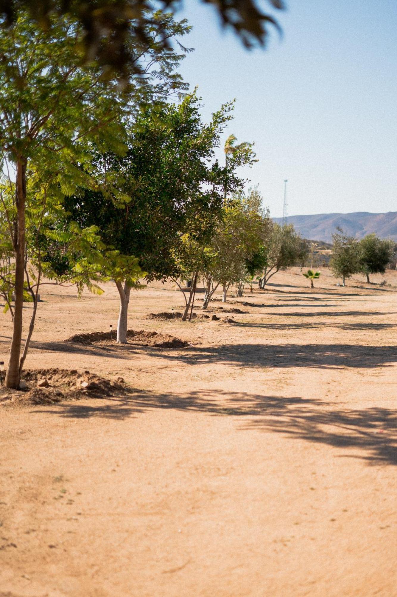 Villa Victoria, Valle De Guadalupe Exteriör bild