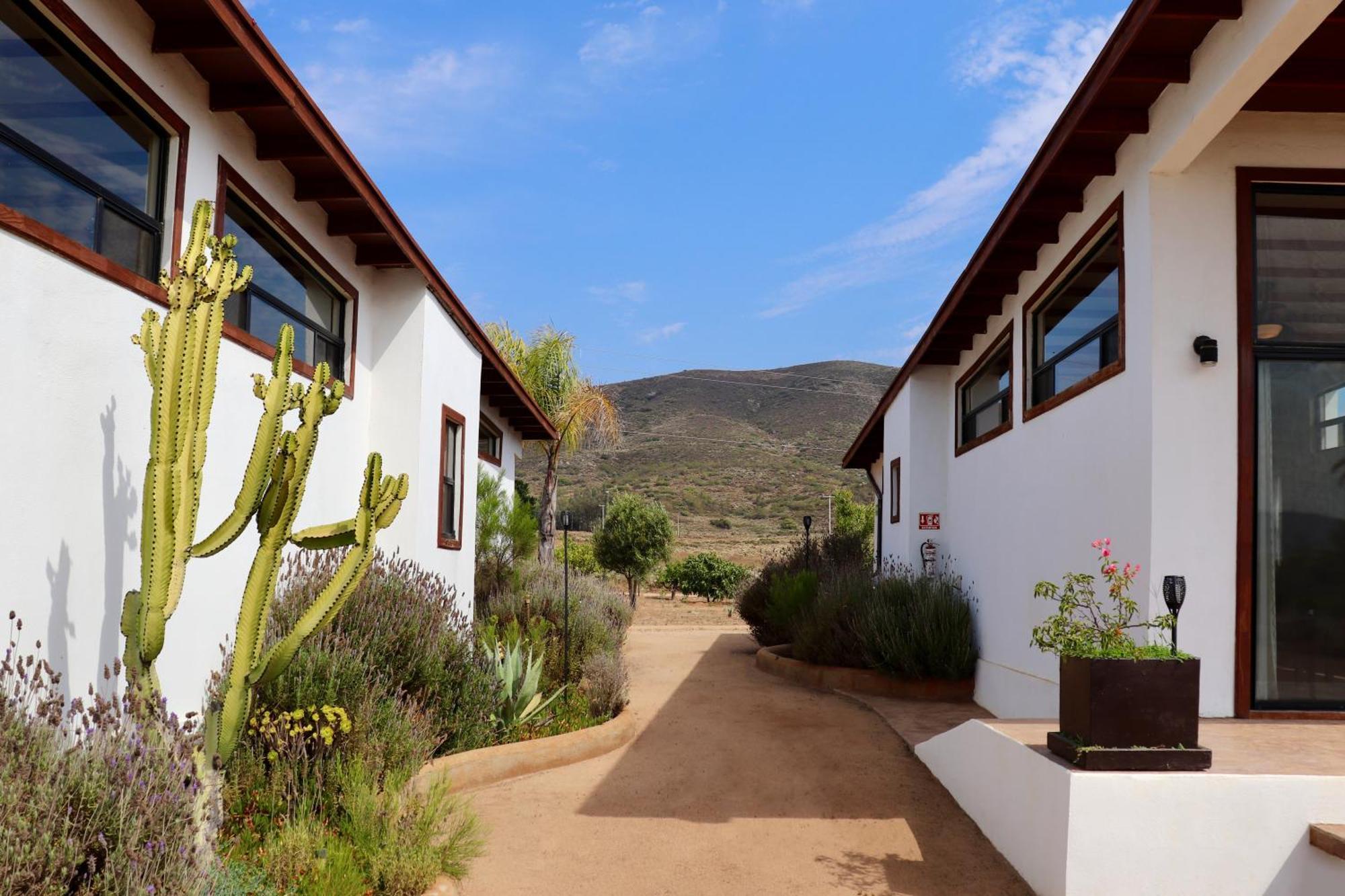 Villa Victoria, Valle De Guadalupe Exteriör bild