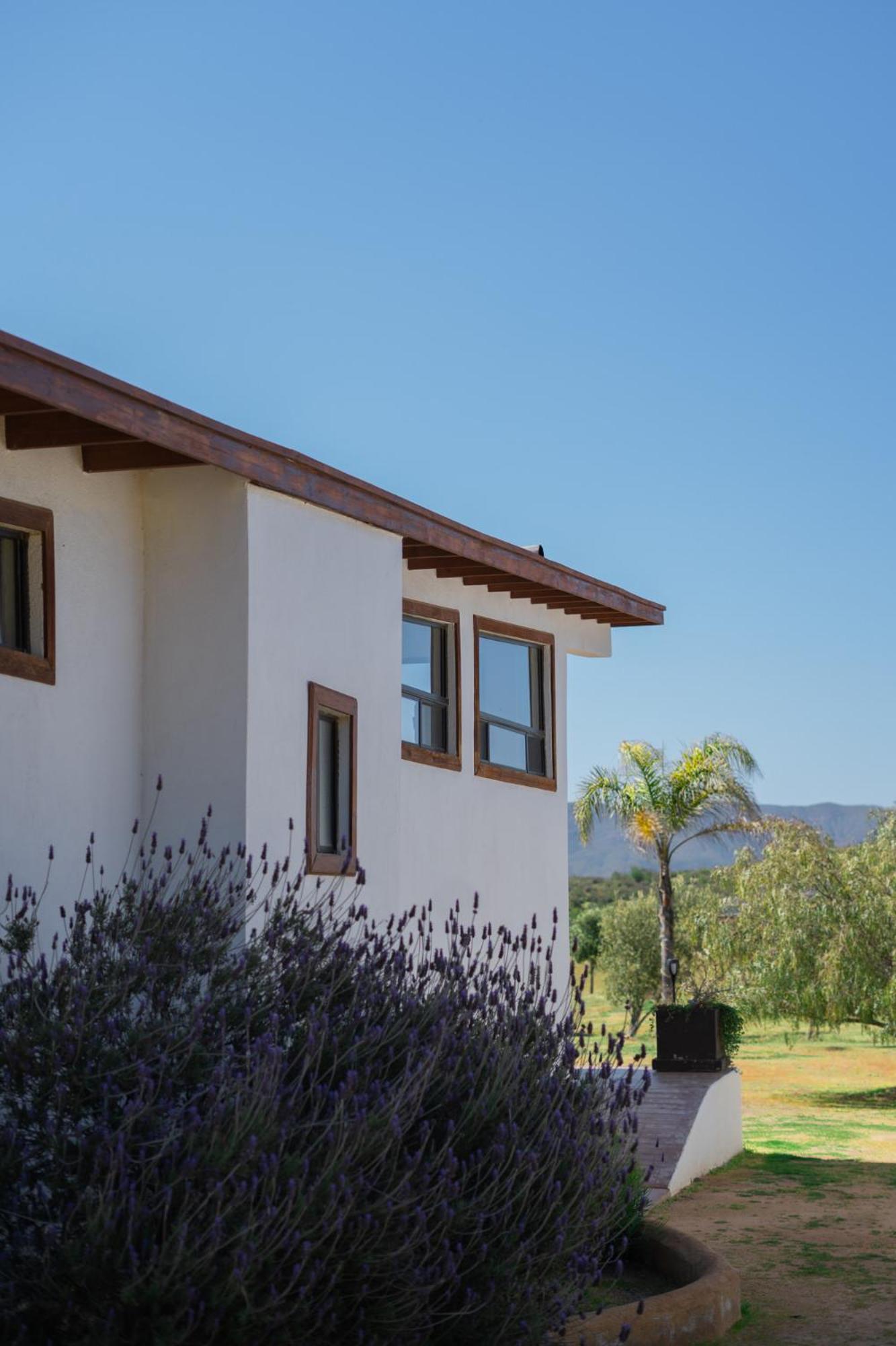 Villa Victoria, Valle De Guadalupe Exteriör bild